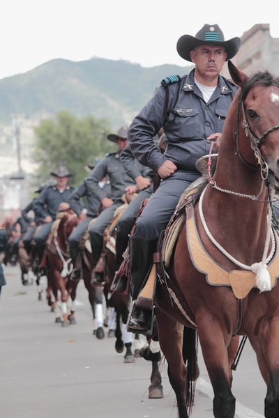 骑着棕色马的警察